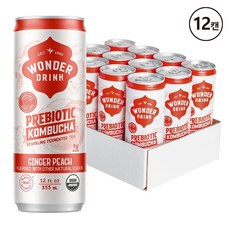 Wonder Drink 원더 드링크 콤부차 프리바이오틱 진저 피치 스파클링 355ml 12캔, 1개