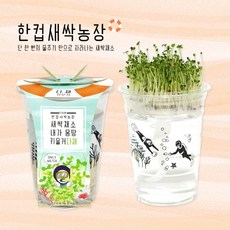 다채롬만화