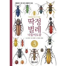 무당벌레책