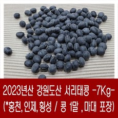 [다온농산] 2023년산 국산 서리태콩 <강원도산> -7Kg 1말- 강원도 홍천농가, 7kg, 1개” width=”90″ height=”90″><span class=