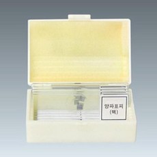 양파표피관찰