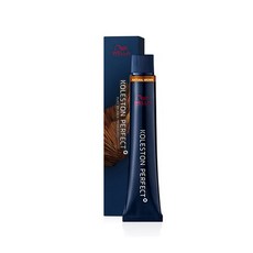 웰라 콜레스톤 퍼펙트 염색약 80g 내추럴(NB) 옐로우브라운_5/03, 1개