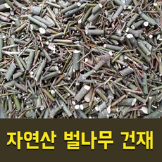 [자연산 산약초] 강원도 영월 자연산 벌나무 건재 (산청목), 250g, 4개