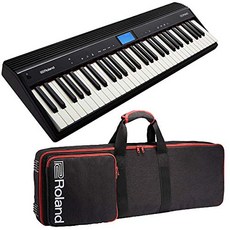 ROLAND 롤랜드 61 키 키보드 GO : PIANO GO-61P + 케이스 세트