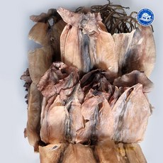장수왕 국산 못난이파품 건오징어 500g (8-12마리내외) /마른오징어 중부시장도매, 1봉