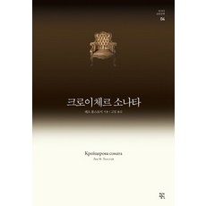 톨스토이크로이체르소나타