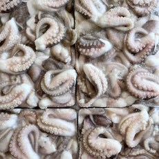 냉동 절단 쭈꾸미 L 도매용 6팩 (1팩 900g) 5Kg [베트남], 6개