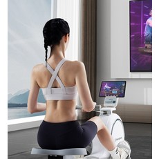 미국 Westinghouse 가정용 자기저항 접이식 로잉머신 헬스 음소거