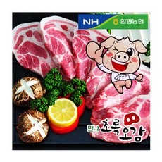 함평농협만나초록오감 목살, 1개, 500g 구이용