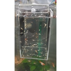 아크릴 3면망사 물순환짱 부화통 격리통 치어통 산란통 열대어 안시 구피 코리 베타 걸이식, 1개