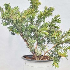 1b5e6c478ea5b7854ff1ebda95d13b36e660681b946f28efd64c155f39ba.jpg