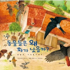 아름다움은왜진리인가