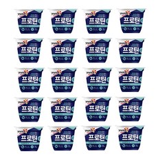 빙그레 요플레 떠먹는프로틴 플레인 100g x 20개
