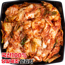 [행운김치] 100%국산 당일제조 전라도 맛김치 막김치