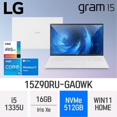 LG전자 그램15 15Z90RU-GAOWK, WIN11 Home, 16GB, 512GB, W