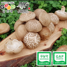 무농약표고버섯(상생) [무농약] 굿뜨래 대자연 생표고버섯2kg, 1