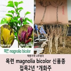 //상품명