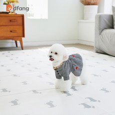 티엔즈팡