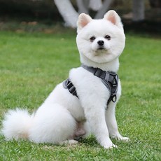 대박드림 반려견 강아지 앞섬방지 하네스 리드줄 세트, 1개, 그레이