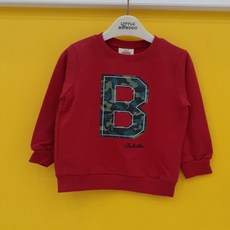 9761e3a5afd3d470694437540e2d8caeb9a26125660a2dc30d72227a5260.jpg
