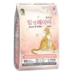 골든캣츠한국무용1개월