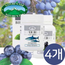 네이쳐스탑 정품 빌베리 10 000mg 60 캡슐 호주 해외 직구 수입, 4개, 60정