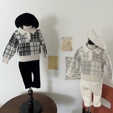 아오스타댄디카라니트