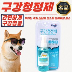 구강 청정제 입냄새 세균 감소 100ml, 1개