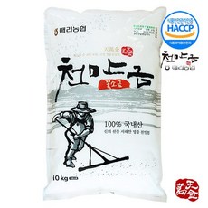신안농협소금