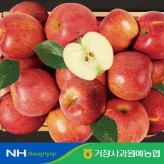 [거창사과원예농협] 가정용 햇 홍로사과 10kg 중과 28-40과