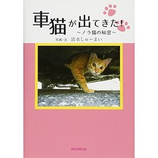 고양이 책 도서 자동차 고양이가 나왔다 노라 고양이의 비밀 일본 직배송
