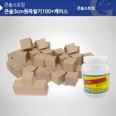 초등교과원목쌓기나무100
