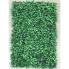 시그니엘프로포즈