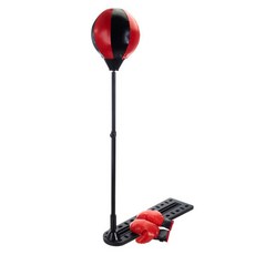 모던하우스토이백