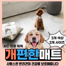 애견동반트래킹