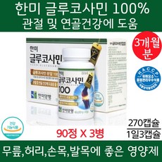 한미양행 글루코사민 100 149g, 1개, 270정