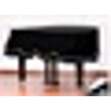 185그랜드피아노커버