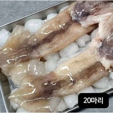 자연산 손질 통오징어 20마리/260g(2마리)X10팩, 10개