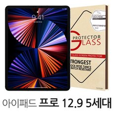 아이패드프로12.95세대필름