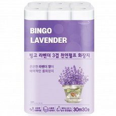 깨끗한나라벚꽃