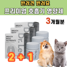 강아지기관지협착증