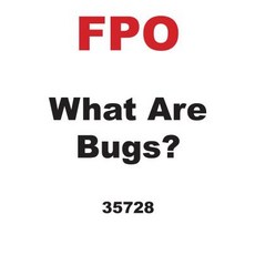 Bugs That Make Your Computer Crawl: What Are Computer Bugs? Paperback, Millbrook Press (Tm)