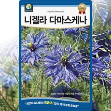 다농 니겔라 다마스케나 씨앗 200립 흑종초 씨 꽃 종자