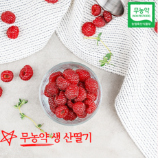 21년 햇 무농약 국산 하우스 노지 산딸기 1kg 생과 생산딸기 당일수확 산지 농장 직송 싱싱한 임산부 과일 제철