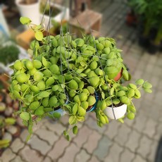 ebba1d089ac04a288394aa36426b254840d12ed353c9e86bfae375a2d4c7.jpg