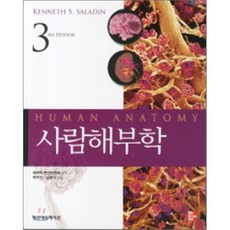 [범문에듀케이션]사람해부학, 범문에듀케이션, Kenneth S. Saladin 지음, 해부학 편찬위원회 옮김, 백두진.남용석 감수