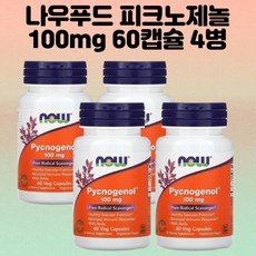 나우푸드피지움