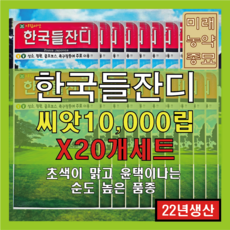 서양주택