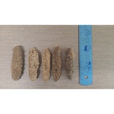 필리핀 건해삼 200g 20-40 마리 1 마리 4-5 cm 미니 건해삼 초특가 45 000 원