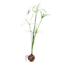 일산한화아쿠아리움